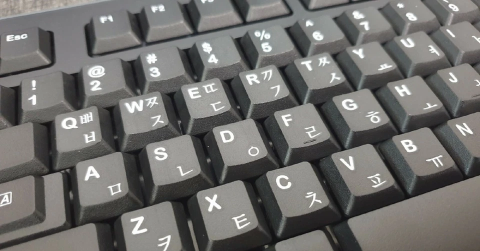 Logitech Korean English USB Wired Keyboard Membrane with Cover Protector (Black) - Image 3 of 4