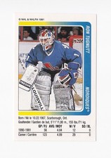 1991-92 Panini Stickers #267 Ron Tugnutt Quebec Nordiques