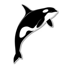 Orca Whale Car Vinyl Sticker - SELECT SIZE