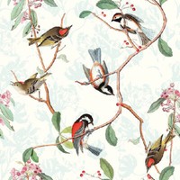 Tissue Servietten - VöGel Auf Zweige - 33X33Cm, 20 StüCk - 33704