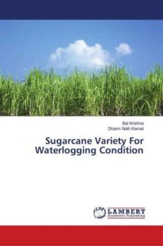 Thumbnail - Sugarcane Variety For Waterlogging Condition 5497