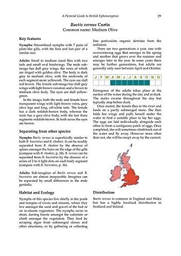 A Pictorial Guide to British Ephemeroptera (AIDGAP) - Image 2 of 4