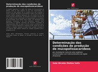 Galo NicoláS Molina Solis | DeterminaçãO Das CondiçõEs De ProduçãO De...