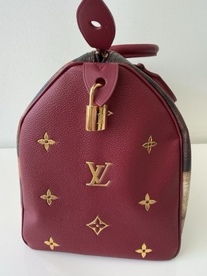 LOUIS VUITTON ライオン グラフィック LOUIS VUITTON Damier Ebene Lion Chapman Sneakers Size US 8.1/2-US