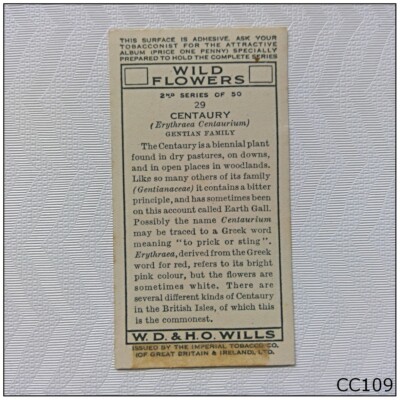 Wills Wild Flowers 2nd Series #29 Centaury Cigarette Card (CC109)