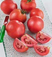 Early Girl Tomato: 15 Seeds