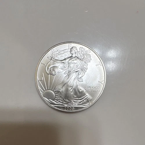 U.S. Mint 2009 American Eagle 1 oz Silver Business Strike Coin