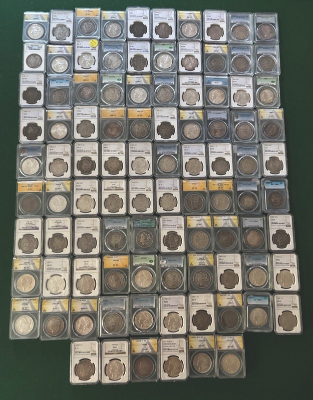 MORGAN DOLLAR SET ALL GRADED 96 COINS, PCGS, ANACS, NGC 1893 S 1889 CC CAC TONED