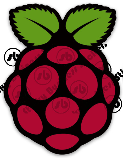 Raspberry Pi Logo 3 inch Vinyl Sticker Computer IOT Coding Python bottle laptop