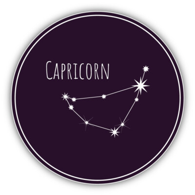 Capricorn Zodiac Sign Constellation Vinyl Sticker Decal | eBay