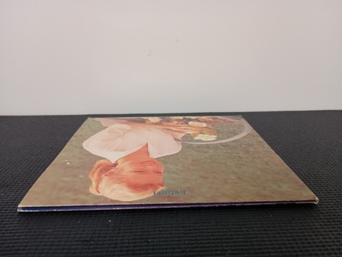 Helmet, Betty (Amphetamine Reptile Records AMREP 097) EX 2 10" - Rock Metal 1994 - Picture 20 of 24