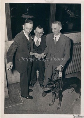 1945 Glenn And Press Kenneth Ledforce John Lococo Dog Suit Vintage Photo 5x7
