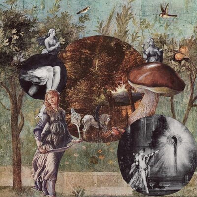Native Harrow Old Kind of Magic Album (US IMPORT)