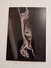 2024 DWARF MONGOOSE X-RAY OREGON ZOO TOPPS ALLEN AND GINTER #XR-14