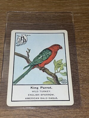 Antique 1899 Birds Card Game King Parrot Playing Card RARE