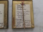 Foto 12 di 12