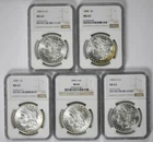 Lot 5 Coins Different Date Morgan Dollar Silver $1 MS 63 NGC