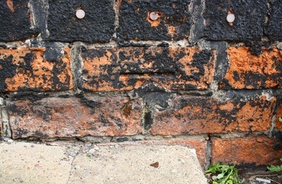 Photo 6x4 Benchmark on #78 Beacon Hill Road Newark-on-Trent Ordnance Surv c2016