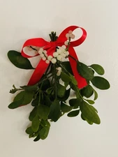 Fresh Mistletoe Berries Bow Christmas Decor Wall Hanger Kiss Me Gift Merry 9"