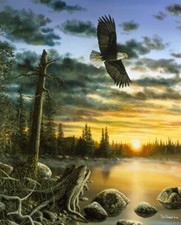 Ceramic Backsplash Tile Mural Bird Of Prey Bird Kitchen/Bathroom - Kings Domain