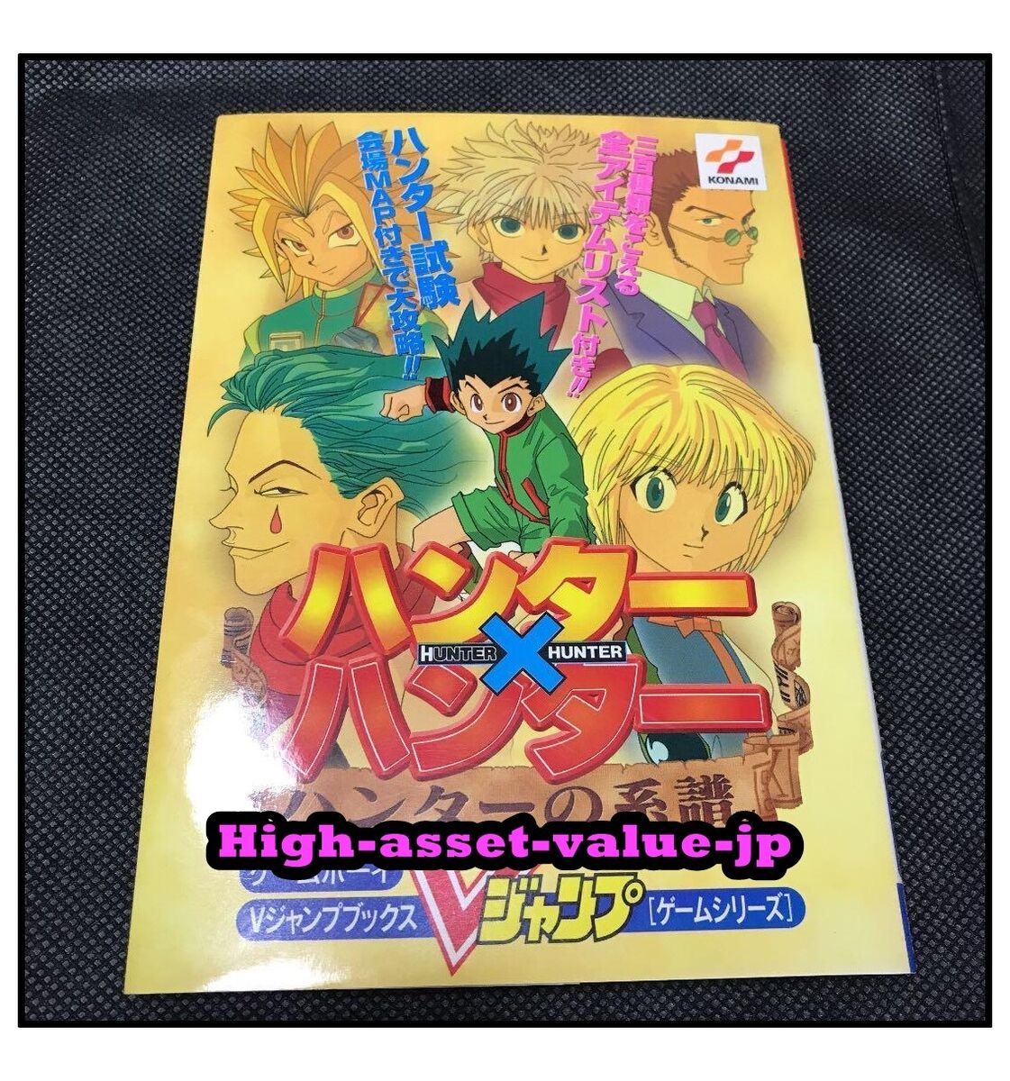 Hunter x Hunter Hunter no Keifu Game Guide Book JAPAN