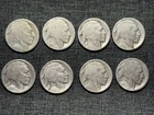 8 Early Buffalo Nickels - Teens 1913 to 1919 - Good Dates Carefully Restored