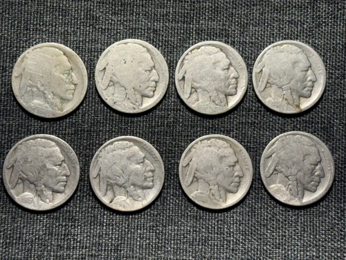 8 Early Buffalo Nickels - Teens 1913 to 1919 - Good Dates Carefully Restored