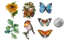 SHIP FROM NY - Temporary Tattoo - Set of 7 Tattoos/flower/butterfly/bird