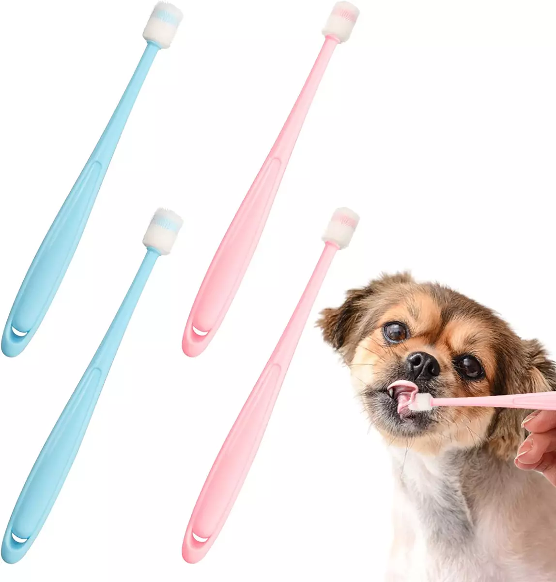 Bristle dog toothbrush cheap