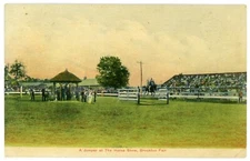 Postcard - Brockton, Massachusetts Fair, Horse Jumping over Hurdle - C. 1910