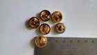 lot of 6 16mm 5+1 Vintage Metal Button Royal Coat Arms UK Lion Unicorn EUC — photo 5