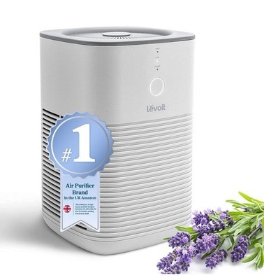 LEVOIT Luftreiniger für Schlafzimmer Zuhause Dual HEPA-Filter Aromatherapie LV-H128 grau