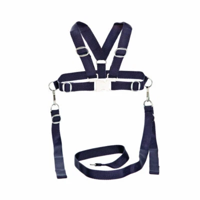 PRAMS.UK.COM KABELBAUM ZÜGEL für SILBER CROSS COACH GEBAUTER BABYWAGEN mit Metallclips 7 Farben