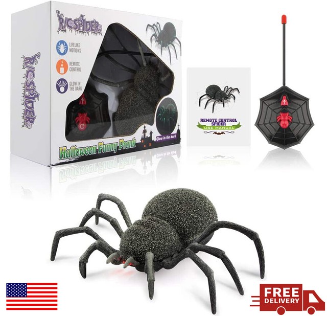 fake spider remote control