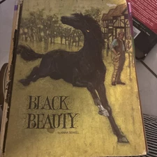Black Beauty