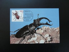 insect beetle semi-postal stamp maximum card Germany 1993 (2)