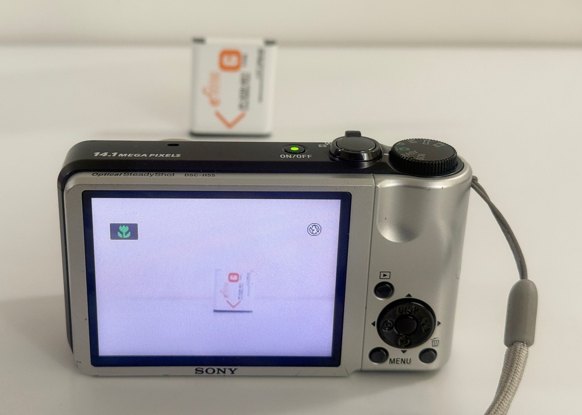 Sony Cyber-Shot DSC-H55 Silver 14.1MP 10x Optical Zoom Digital