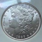 1886 P NGC MS64 Morgan Silver Dollar In Stunning Blast White Condition