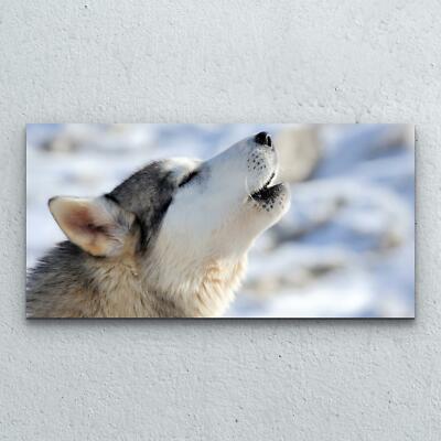 Glasbilder Wandbild Druck auf Glas Foto Bild 100x50 Siberian Husky Hund