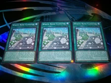 3x White Rose Cloister 1st Edition Common L5DD-ENA22 Yu-Gi-Oh!
