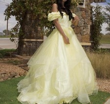 JJ's House Princess Ball Gown