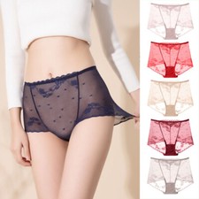 Women Underwear Lace See Through Lingerie Mesh Briefs Panties Knickers Se  