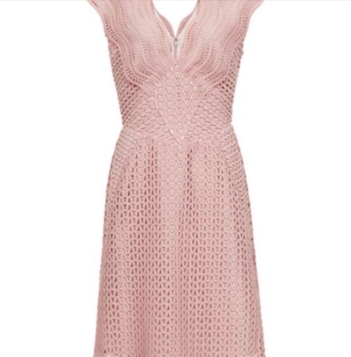 REISS Pink Marianna Lace Dress NWT Size 6 | eBay
