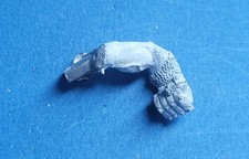 Citadel Chaos Keeper of Secrets Metal R. Hand Lower Greater Daemon of Slaanesh