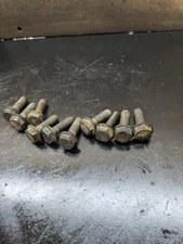 2003-010 Ford F250 350 6.0 / 6.4 Powerstroke Flexplate Mounting Bolts (10) #3972