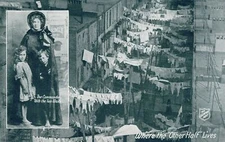 Where The Other Half Lives Salvation Army Postcard