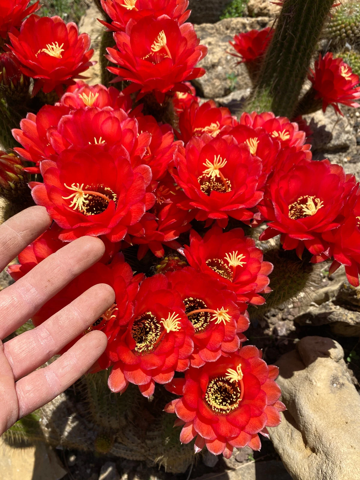 Foto 2 di 5