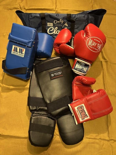 Kickboxing Gloves Shin Guard Mitt Set