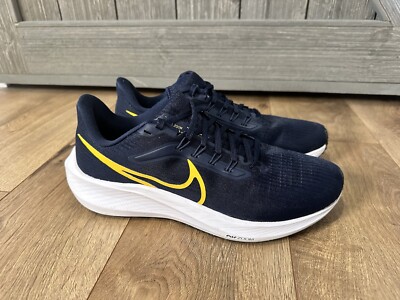 Nike Air Zoom Pegasus 39 Michigan CZ1893-402 Women's Men's Size