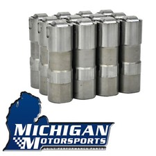 Delphi 25341990 Lifters - Set Of 12 For 3.8l And 4.3l Gm V6 Engines 1986-2013